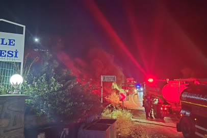 Bursa’da çıkan anız yangını yerleşim yerine ulaşmadan söndürüldü