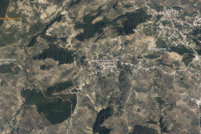 Bursa'da orman sınırları dışına çıkarılan araziler hakkında duyuru!