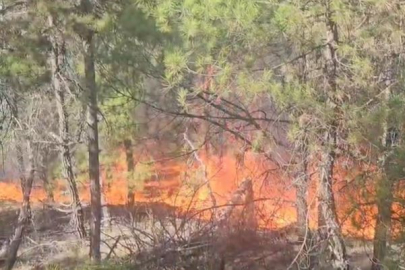 Denizli Buldan’da ormanlık alanda yangın çıktı