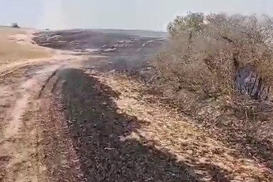 Tekirdağ Kapaklı'da çıkan yangında 8 dönüm arazi kül oldu