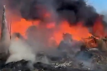 Adana'da ağaçlık alanda çıkan yangın kontrol altına alındı