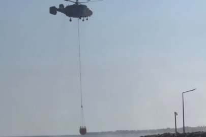 Balıkesir Güre'de zeytinlik yangını