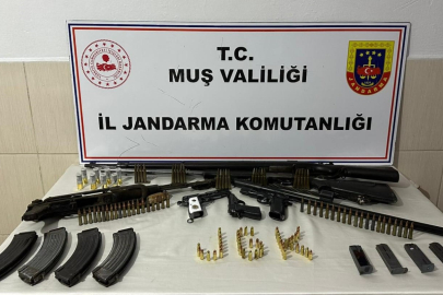 Muş Bulanık'ta çok sayıda silah ve mühimmat ele geçirildi