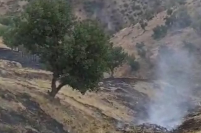 Bitlis Hizan'da anız yangını