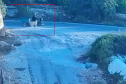 Köpek saldırınca motor devrildi