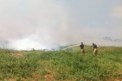 Balıkesir Manyas ve Bandırma arasında sazlık alanda yangın çıktı