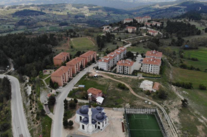 Bursa'da sitede ayı paniği! Uyarı geldi: Uzak durunuz...