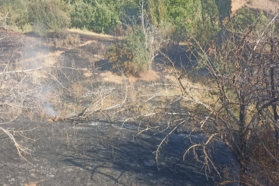 Malatya Pütürge’de bahçe yangını korkuttu
