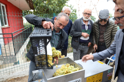 Bursa'da belediyeden çiftçiye üzüm hasadını kolaylaştıran destek