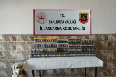 Şanlıurfa'da 420 paket gümrük kaçağı sigara ele geçirildi