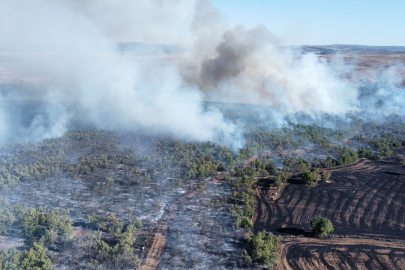 Çorum’daki yangında 70 bin dönümden fazla alan zarar gördü
