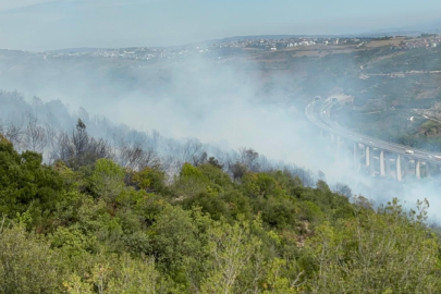 Kocaeli'deki orman yangını 1 saatte kontrol altına alındı