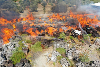 Manisa'da palet fabrikasında yangın: Alevler ağaçlara da sıçradı