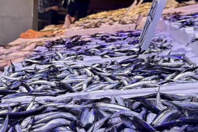 Sezon açıldı: İşte en çok satılan balıklar ve fiyatları...