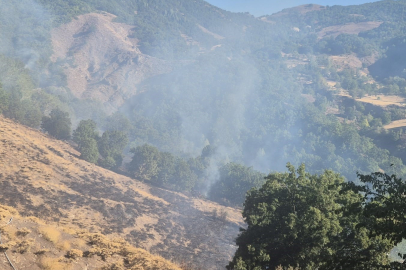 Tunceli'de kırsal alanda yangın
