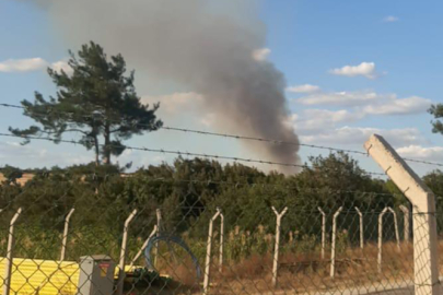 Çanakkale'de orman yangını çıktı