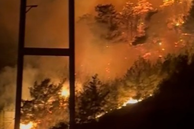 Antalya Alanya'da ormanlık alanda yangın