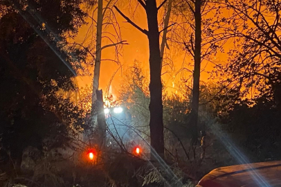 Antalya'da ormanlık alanda yangın