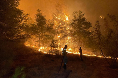 Antalya ve Muğla'da orman yangınlarıyla mücadele sürüyor