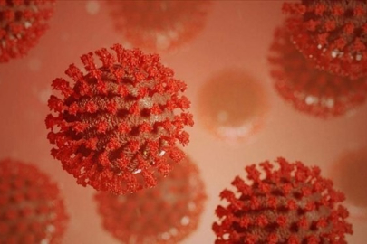 Komşuda candida auris patlaması! "İlaçlara karşı dirençli, ellerinizi yıkayın"