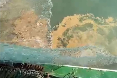 Marmara Denizi'nde müsilaj tehdidi