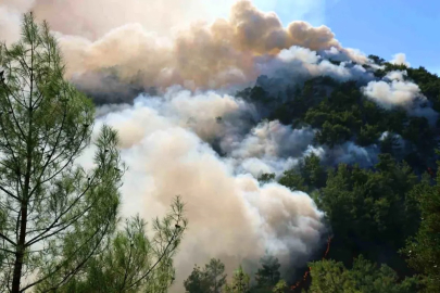 Muğla'da Orman Yangını: Şiddetli Rüzgar Ekipleri Zorluyor