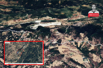 Bursa'nın dağ yöresindeki ormana mermer ocağı kurulacak: Ağaçlar ne olacak?