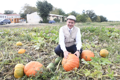 Bursa Osmangazi Belediyesi ata tohumlarını geleceğe taşıyor