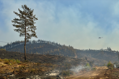 Muğla Köyceğiz'deki orman yangınında 2'nci gün