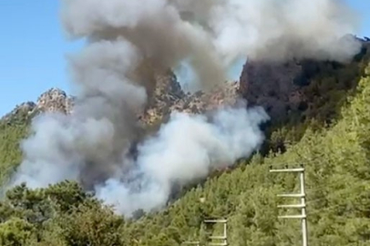 Antalya Serik'te ormanlık alanda yangın