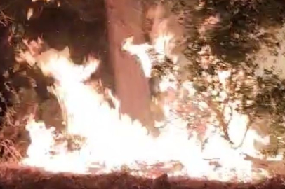 Burdur'daki orman yangını söndürüldü