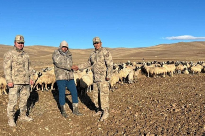Erzincan’da kaybolan 300 koyun İHA desteği ile bulundu