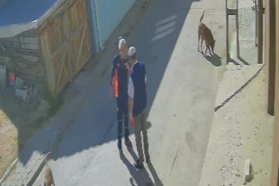 Yaşlı adamı tekme tokat dövdü: Köpeklerimi sen mi şikayet ettin