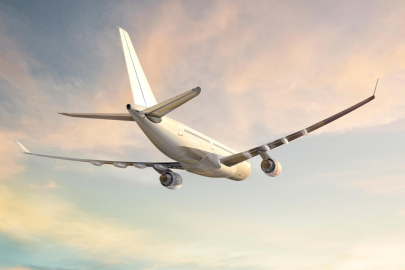 Afgan çocuk Kabil'den Yeni Delhi'ye iniş takımları yuvasında uçtu