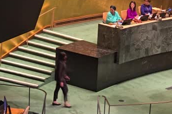 Cumhurbaşkanı Erdoğan, BM salonunda konuşması öncesinde dakikalarca alkışlandı