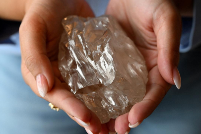 Dünyanın en büyük elması için fiyat belirleniyor