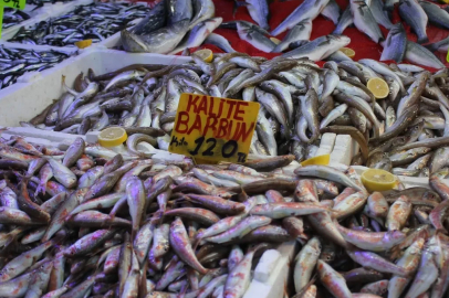 Hamside bu yıl yüzler gülüyor! İşte son fiyatlar