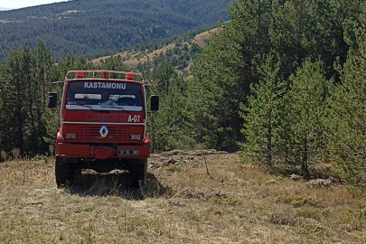 Kastamonu'da orman yangını: 10 dönümlük alan zarar gördü