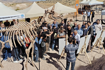 Kayseri'de 7,7 milyon yıllık kazılarda gelişme: Yeni bir tür olabilir