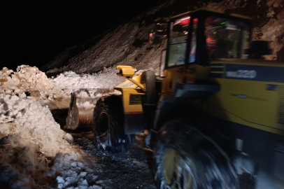 Riza Trovit Yaylası'nda yeniden çığ yaşandı