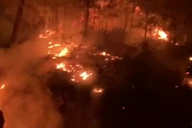 Antalya Gazipaşa'da ormanlık alanda yangın