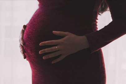 Trump uyarmıştı, Harvardlı bilim insanları onayladı! Hamileyken...