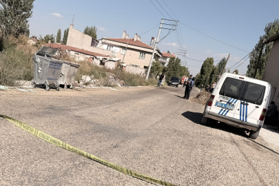 Afyonkarahisar'da yaktığı otların içerisine düşerek can verdi