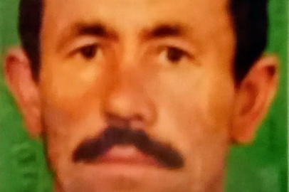 Bursa'da koyununu kurtarmak isterken 70 metrelik yamaçtan düşerek yaralandı