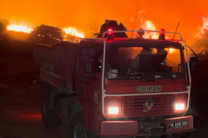 Bursa’daki orman yangını Akçasusurluk köyüne yaklaştı, yerleşim alanları tahliye edildi