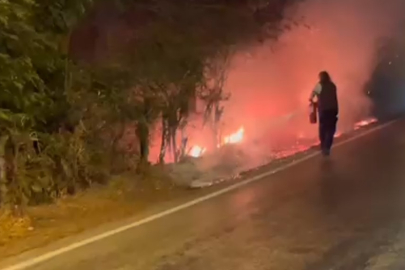 Balıkesir Kapıdağ’daki yangında sigara izmariti iddiası