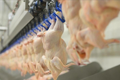 Beyaz et sektöründeki 13 firmaya 3,7 milyar lira ceza