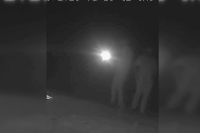 Ormanda bozayı vuran kaçak avcılara 170 bin lira ceza