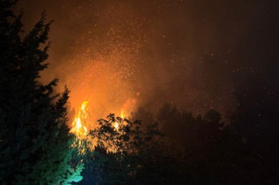 Beykoz'da rüzgarın etkisiyle büyüyen orman yangını kontrol altında