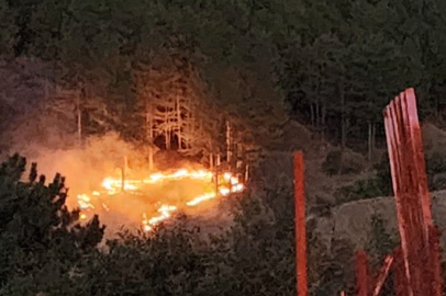 Bingöl’de çıkan orman yangını kontrol altına alındı